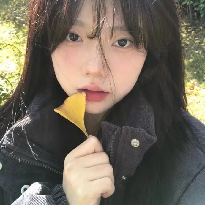 老虎搏懵